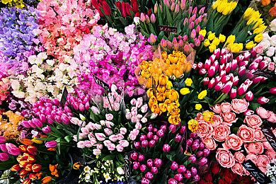 《帝国时代4》Steam强势开局 在线峰值接近5.5万